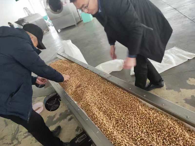 歡迎烏魯木齊客戶江總來廠考察電磁炒貨機，現(xiàn)場訂購一臺鷹嘴豆炒貨機！
